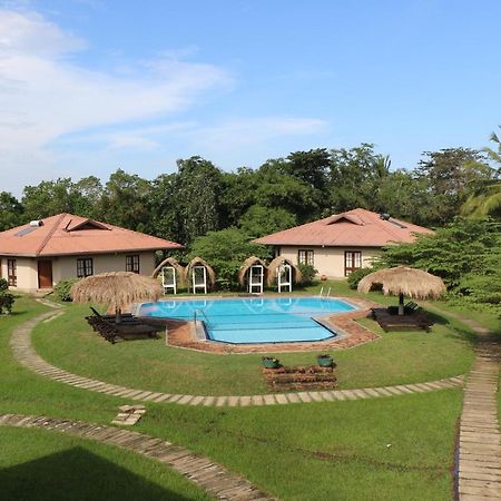 Hibiscus Garden Hotel Tissamaharama Eksteriør bilde