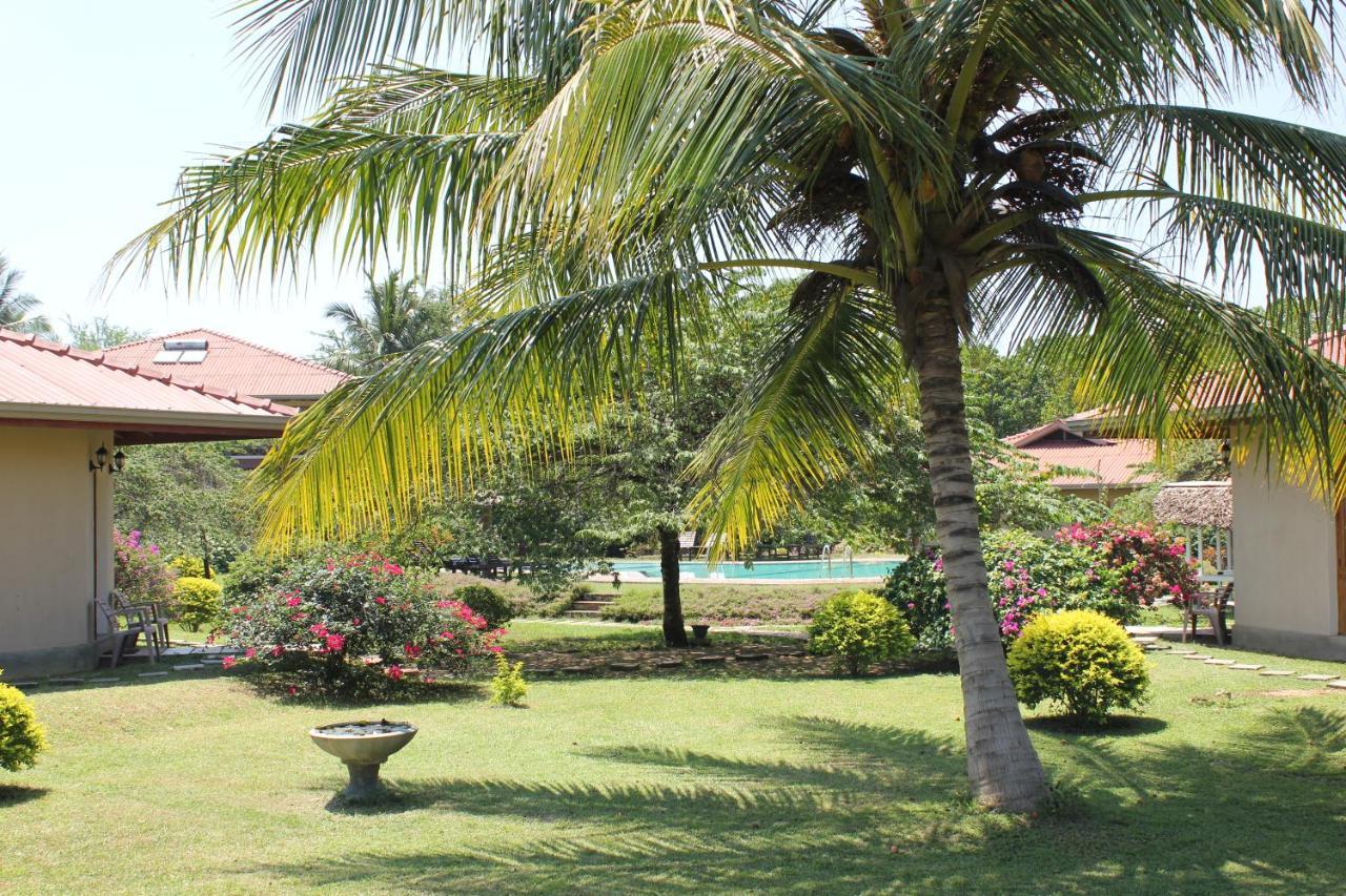 Hibiscus Garden Hotel Tissamaharama Eksteriør bilde