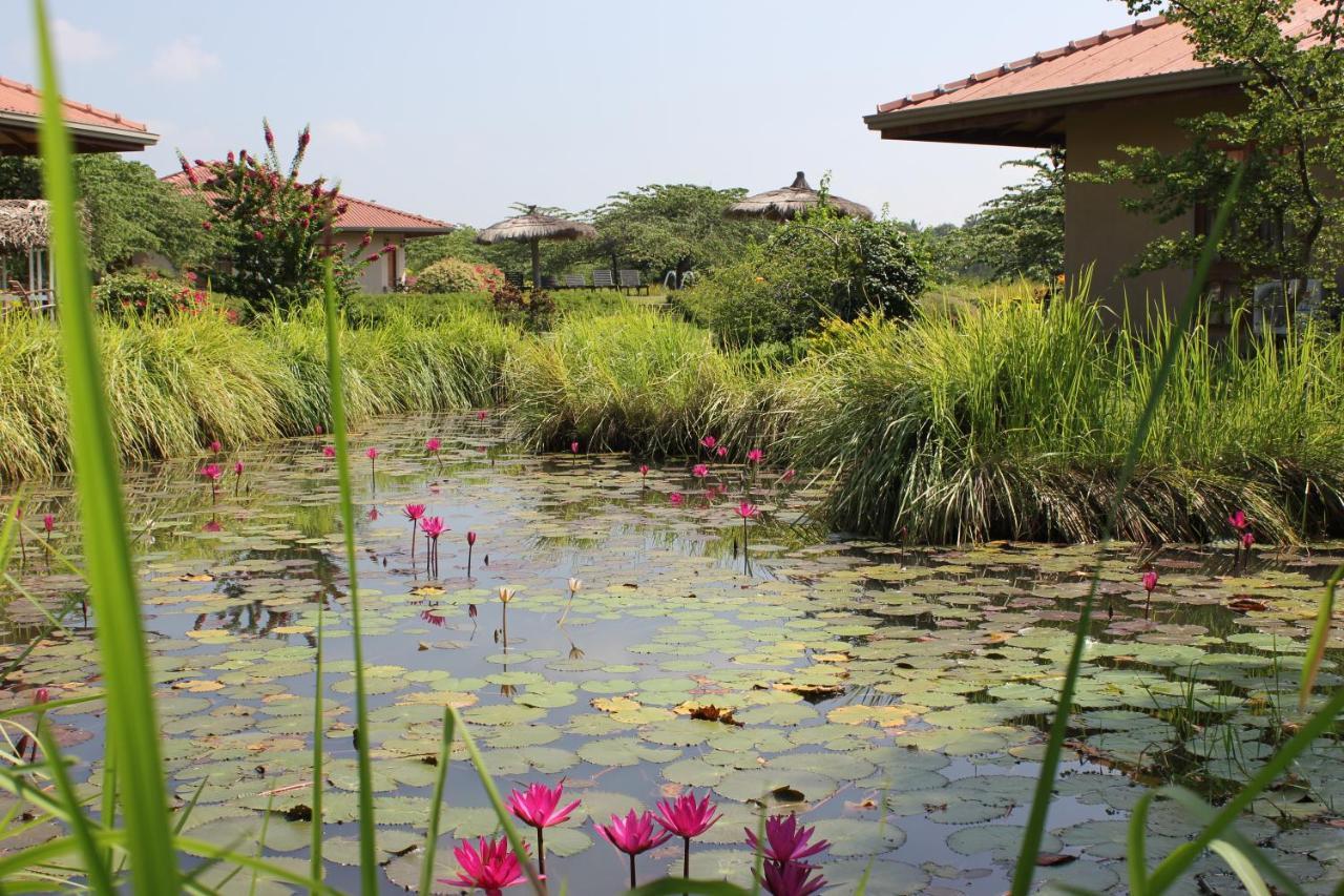 Hibiscus Garden Hotel Tissamaharama Eksteriør bilde
