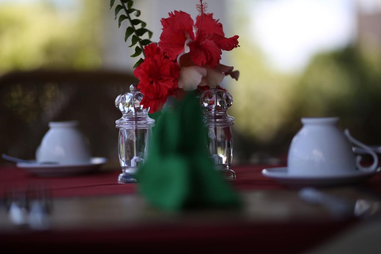 Hibiscus Garden Hotel Tissamaharama Eksteriør bilde