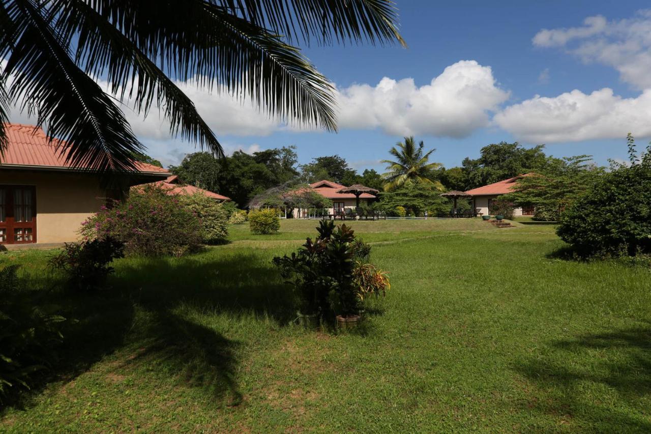 Hibiscus Garden Hotel Tissamaharama Eksteriør bilde